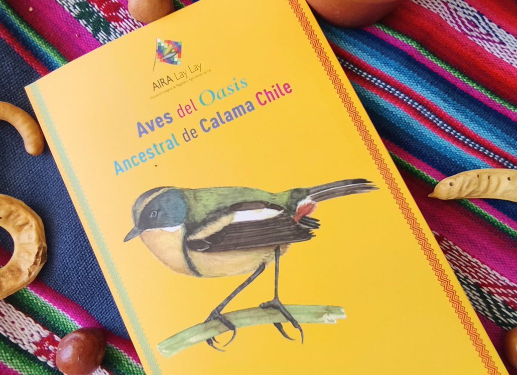 portada libro.png